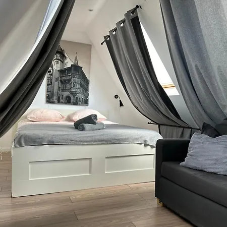 Center - Belle-vue 4 étoiles Appartement Colmar