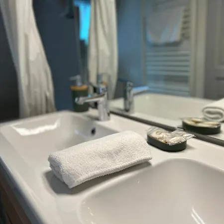 Center - Belle-vue 4 Etoiles * Colmar