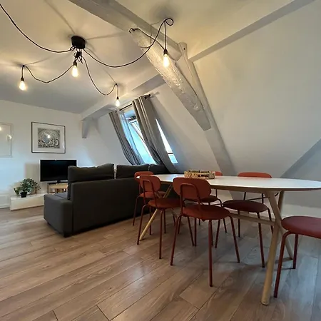 Center - Belle-vue 4 Etoiles * Colmar