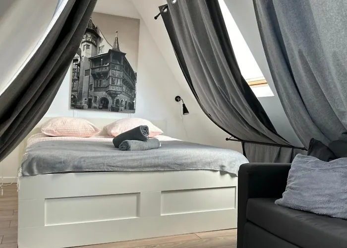 Center - Belle-vue 4 Etoiles Apartment Colmar