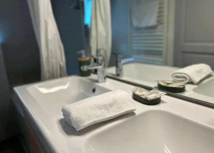 Center - Belle-vue 4 Etoiles * Colmar